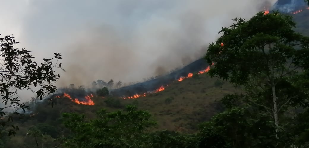 Se reportan nuevos incendios forestales en Cundinamarca, sumándose a la crisis por niveles de agua en embalses