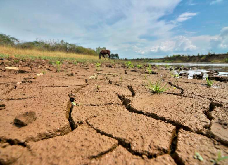 La Procuraduría exige al sector agropecuario y a la CAR aclarar las medidas contra el fenómeno de El Niño