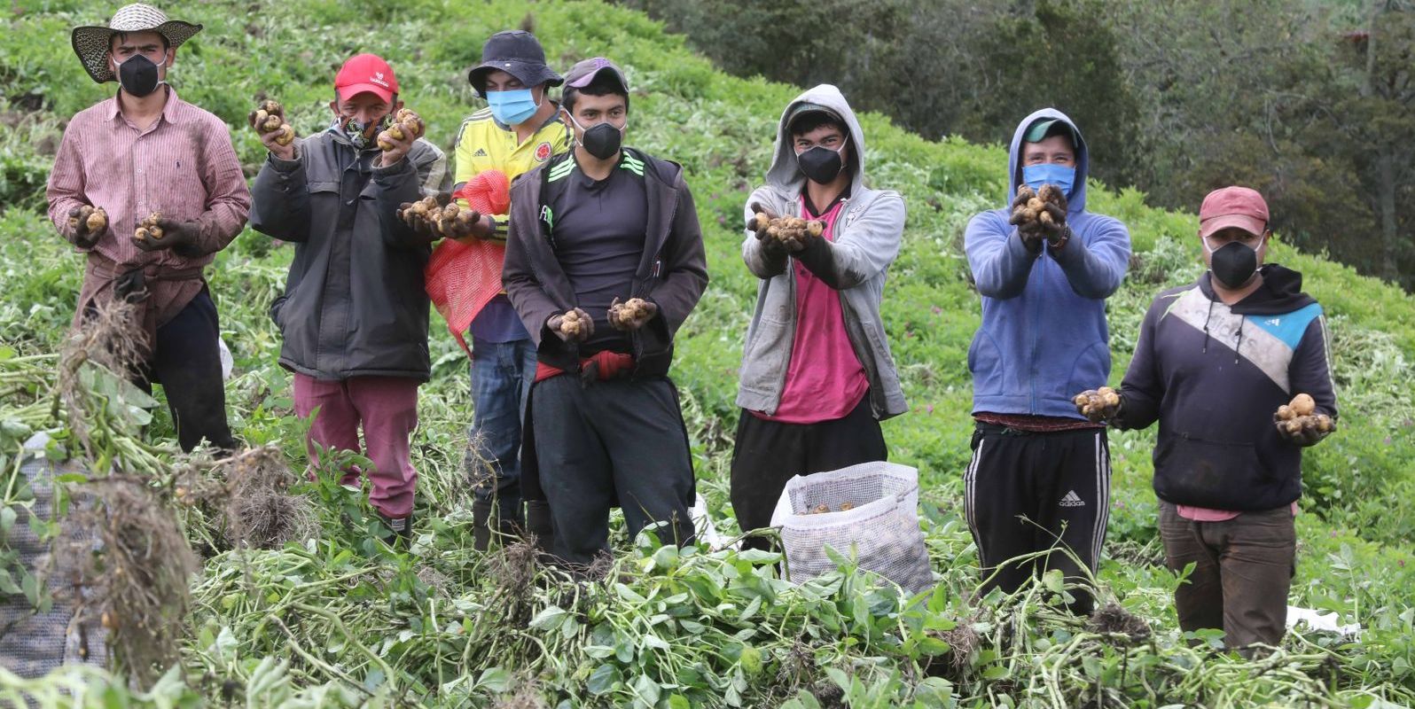 Cundinamarca abastece el 44% de los alimentos que llegan a Corabastos 