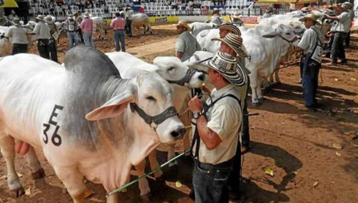 Secretaría de Medio Ambiente y Desarrollo Rural refuerza alianzas estratégicas en La Calera para la Tercera Feria Ganadera