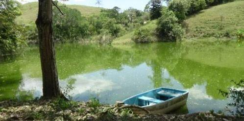 Descubre el misterio de la Laguna de Liverpool y su legendario vigilante