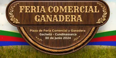 Entrega de insumos agrícolas para víctimas del conflicto armado.