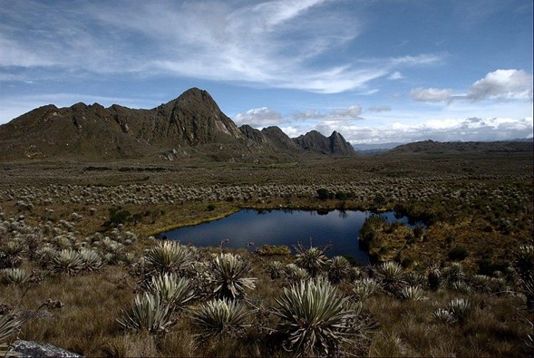 https://es.wikipedia.org/wiki/P%C3%A1ramo_de_Sumapaz