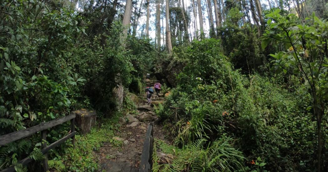 Alcaldía de Bogotá