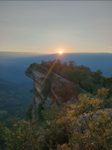 BACOA - finca Media luna
