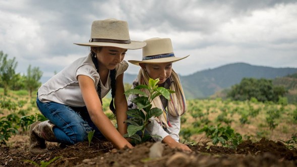 Nueva convocatoria: jóvenes rurales de Cundinamarca podrán postular ideas agropecuarias