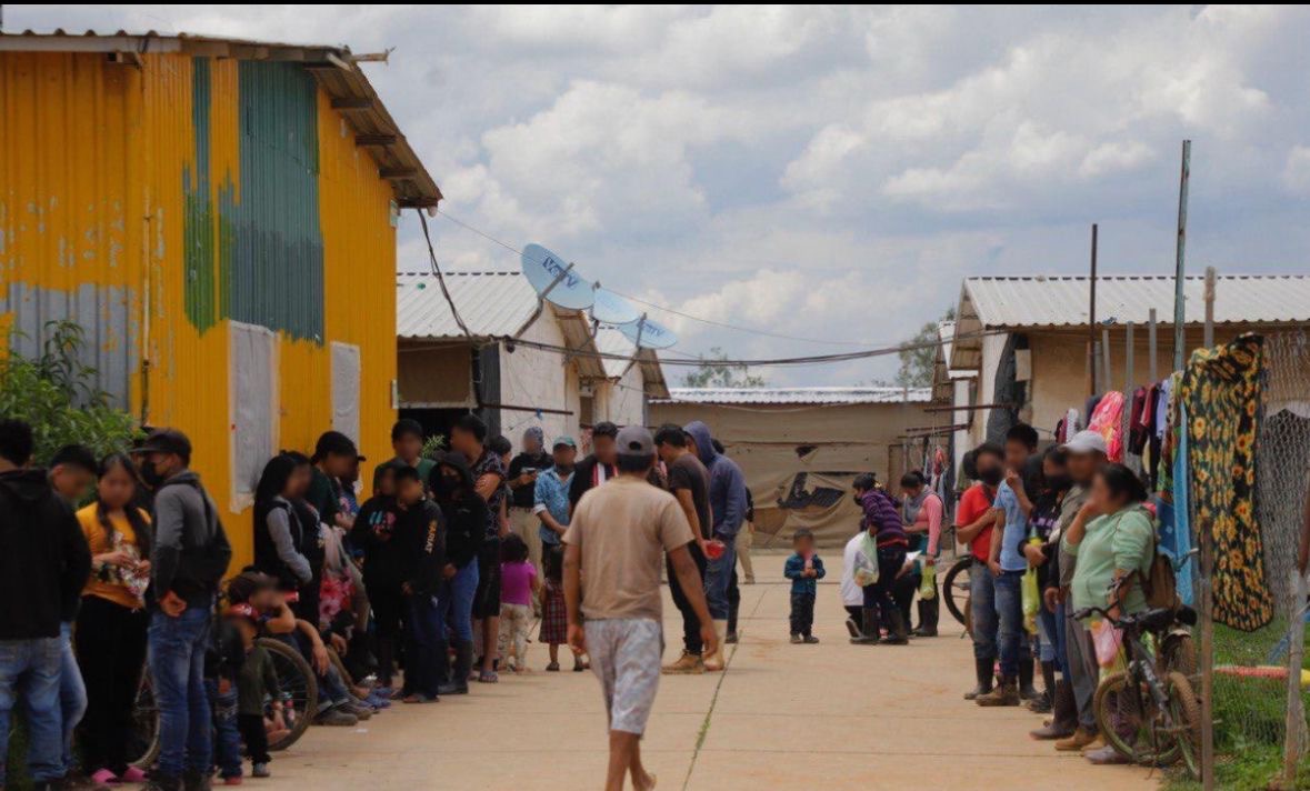 Rescatan a cerca de 700 personas víctimas de explotación laboral en Guanajuato, México