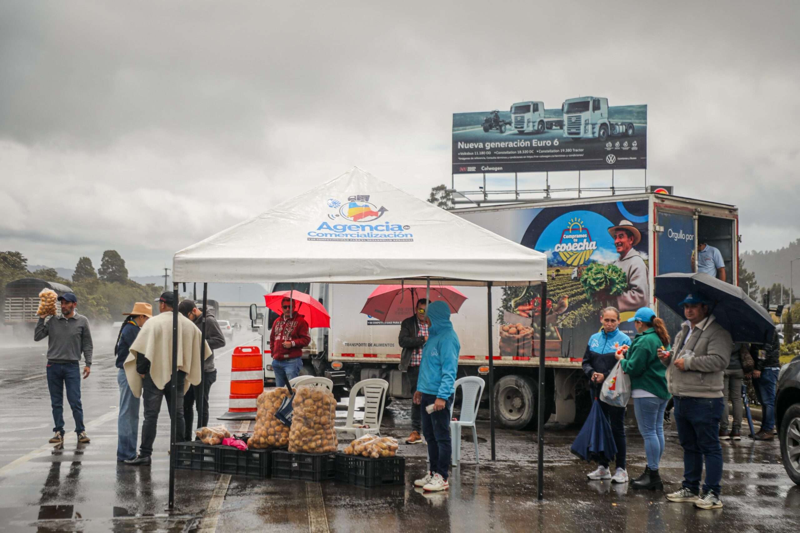 Plan de emergencia lleva papa del campo a las calles para salvar la cosecha
