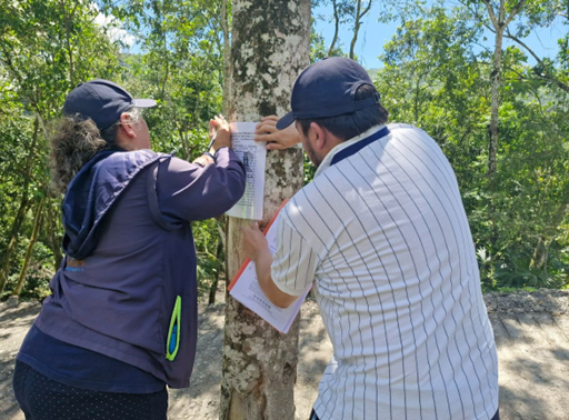 CAR detiene destrucción de zona montañosa en Nocaima