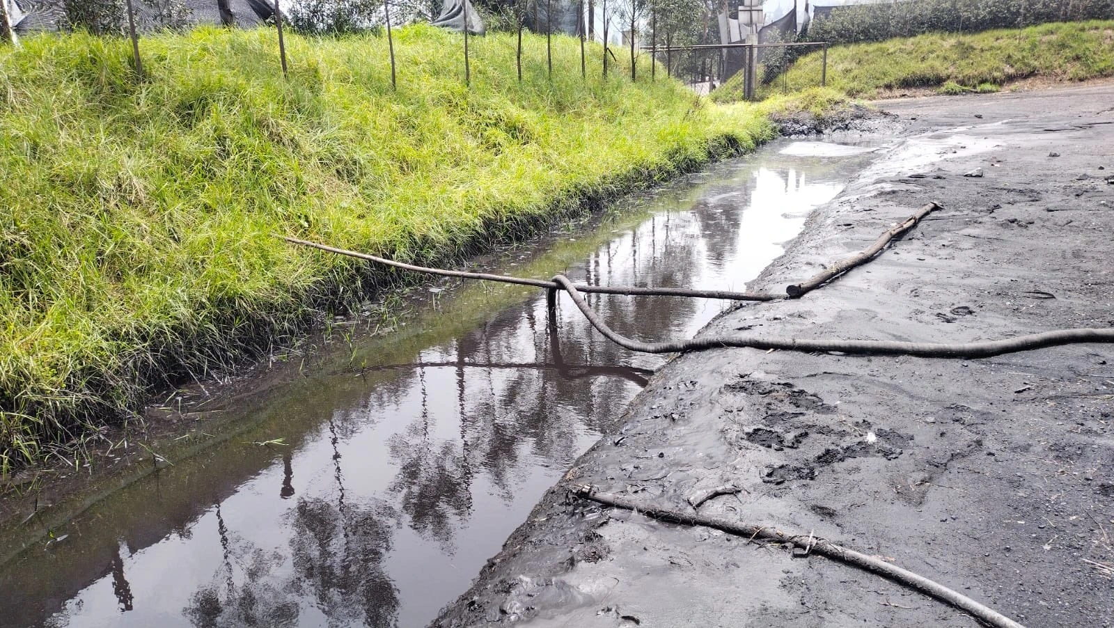 CAR ordena cierre de patio de carbón en Guachetá por afectaciones ambientales