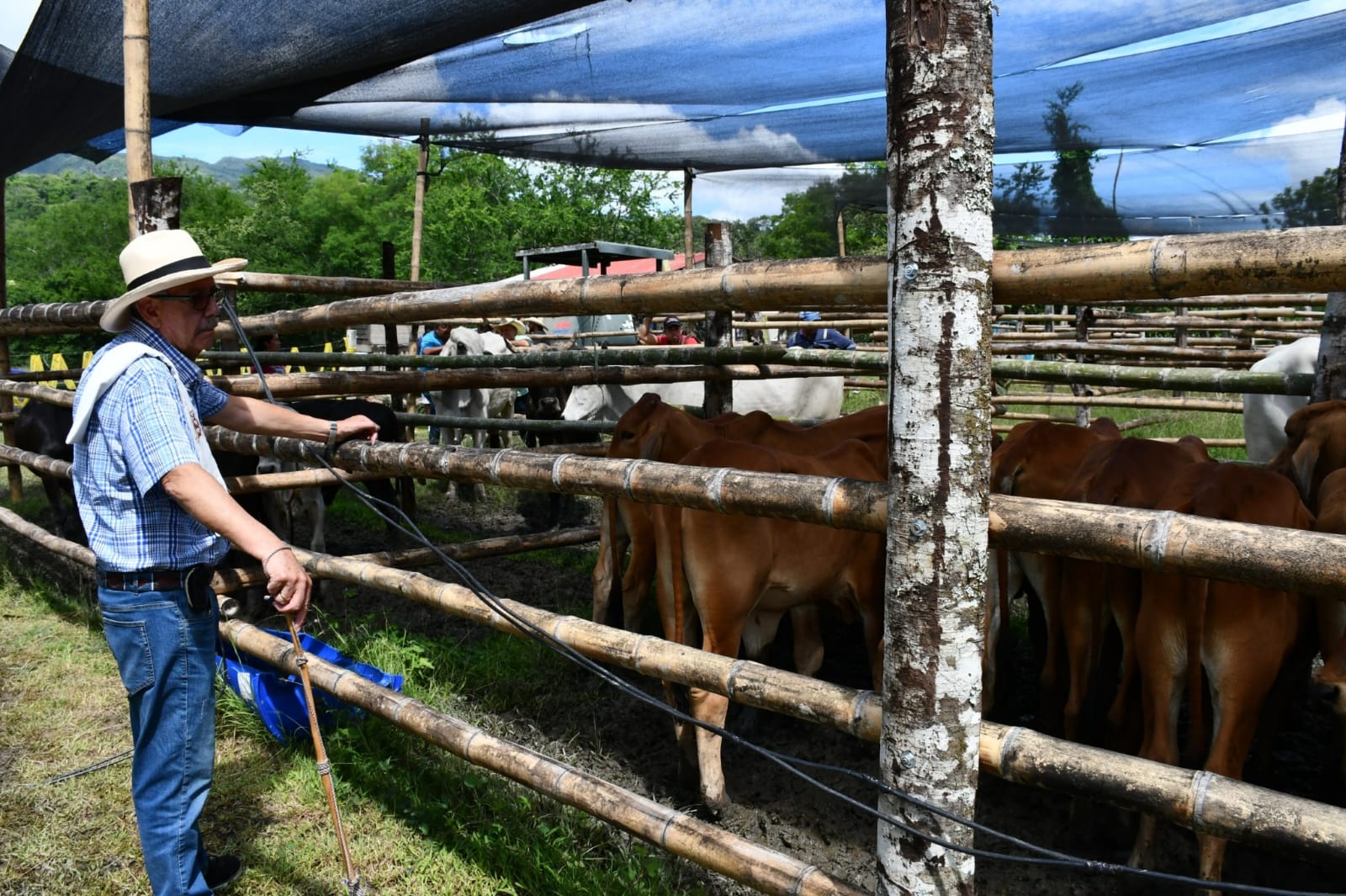 Mercados, cultura y deporte durante el fin de semana en Cundinamarca