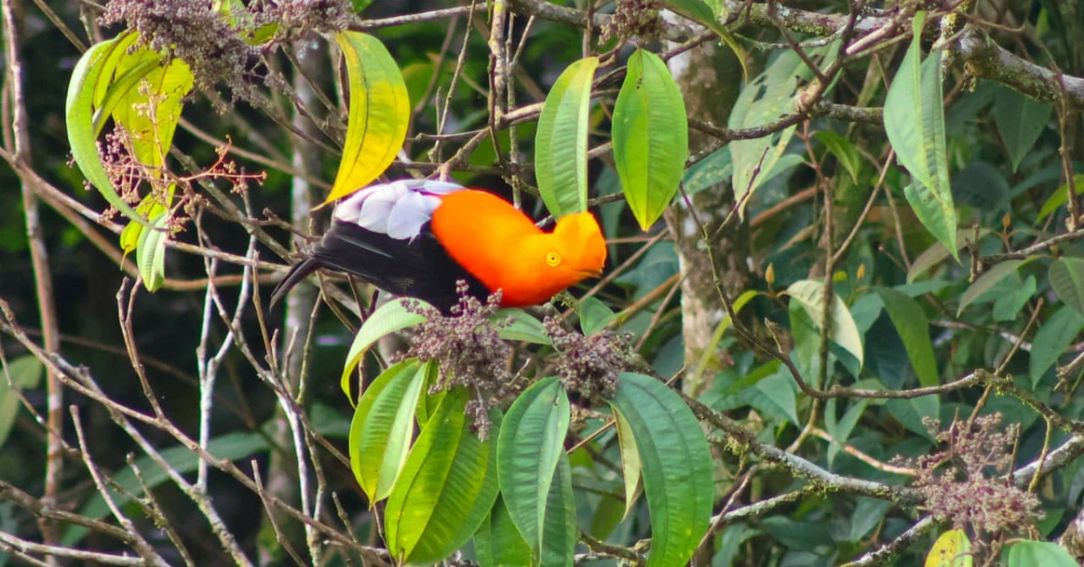 Un encuentro con la naturaleza en Ubalá