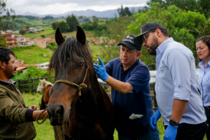 Cundinamarca