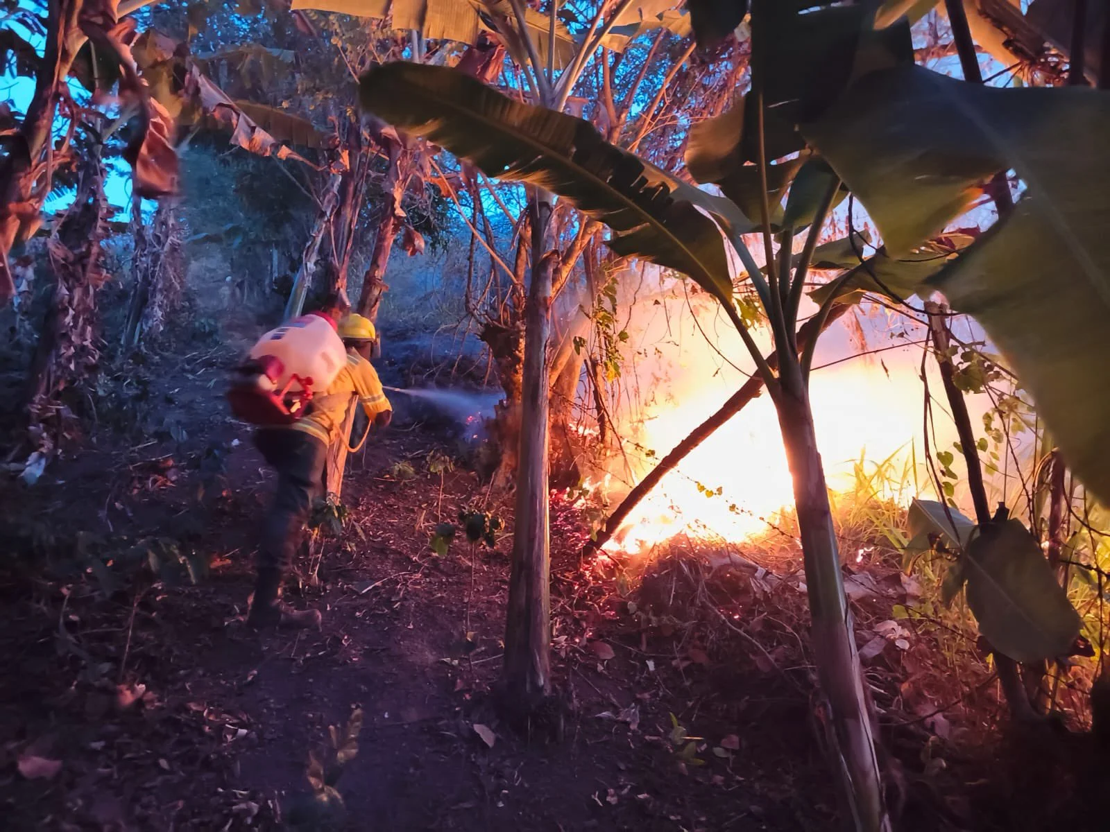 Dos de las emergencias corresponden a incendios nuevos. Al cierre del balance no había eventos activos, aunque continuaban las labores sobre puntos calientes en tres zonas.