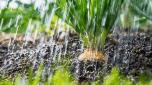 Un estudio del Banco de la República sobre 40 cultivos encontró que los efectos sobre los precios mayoristas son mayores cuando el calor y la falta de lluvia se extienden por amplias regiones agrícolas.