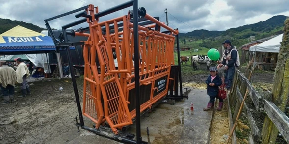Nueva báscula permitirá a ganaderos de Villapinzón conocer el peso del ganado para su comercialización y manejo