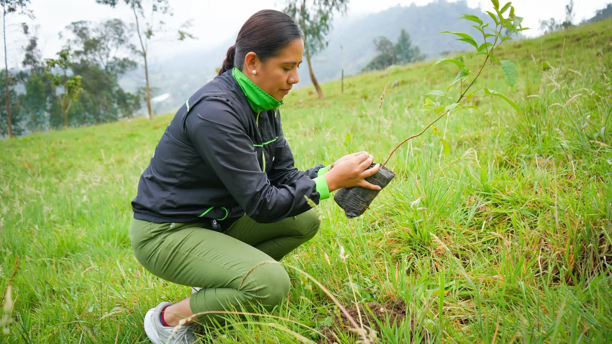 Siembran 150 árboles para proteger fuentes hídricas en La Aguadita, Fusagasugá