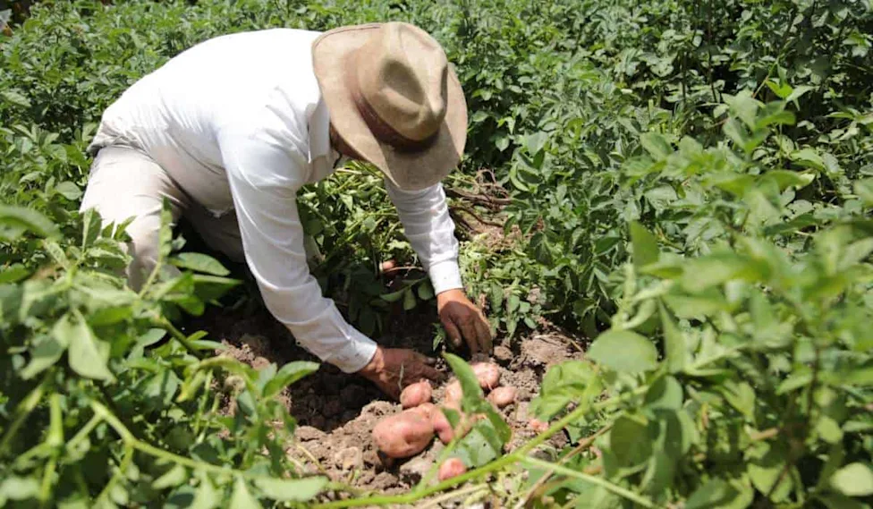 Gobierno derogó Áreas de Protección en cinco municipios de Cundinamarca