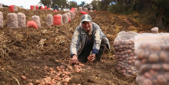 Cundinamarca firmó 51 convenios para proyectos agropecuario