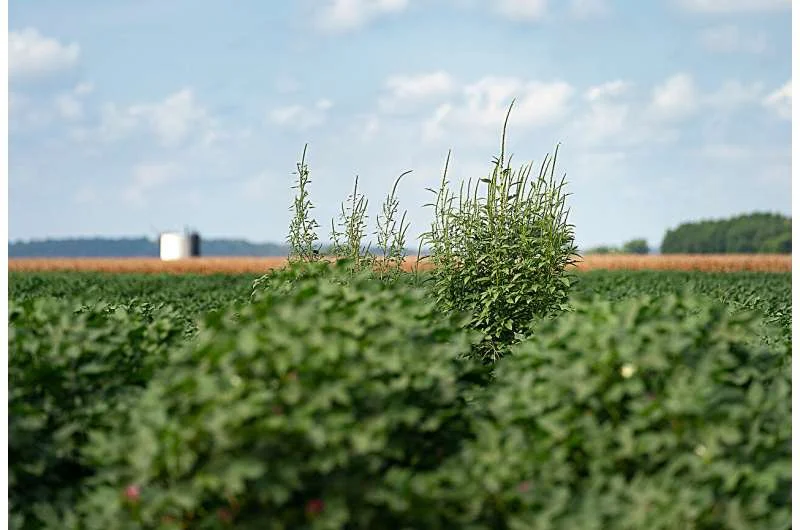 Agricultores británicos cambian el manejo del suelo para conservar agua